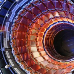 Scientists discover previously unknown particles thanks to collider